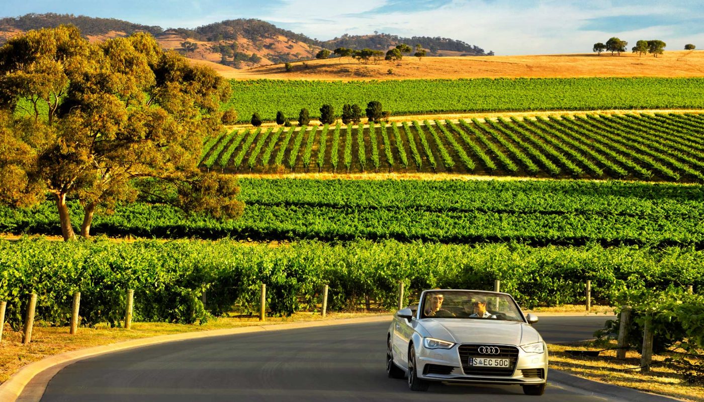 A silver car drives along a country road beside green vineyards, with golden fields and rolling hills in the distance.